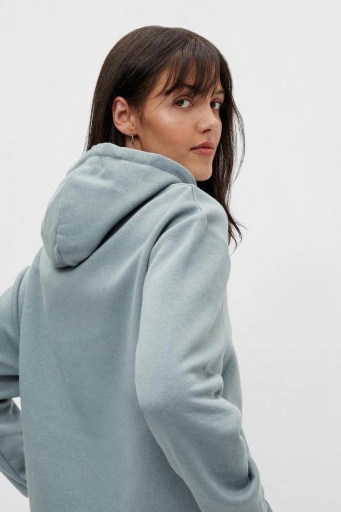 PCCHILLI LS HOODIE NOOS BC 17113437 Trooper